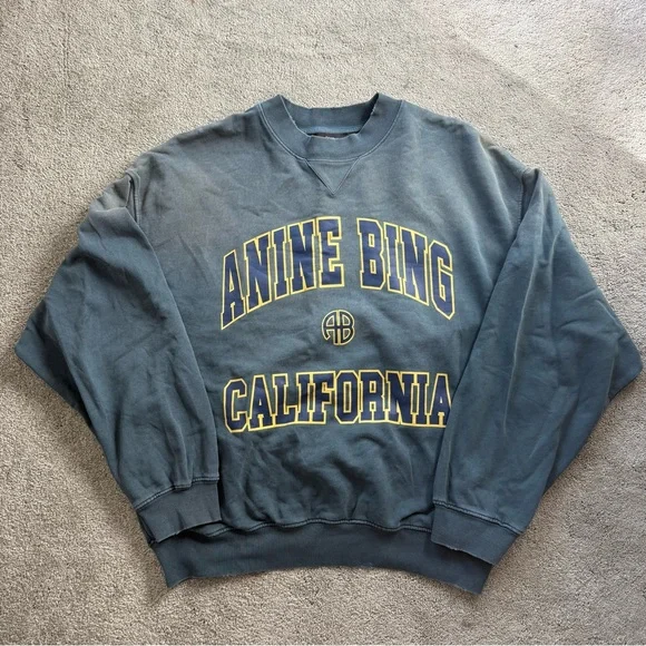 Anine Bing Jaci Sweatshirt in Washed Faded Green - Picture 3 of 6